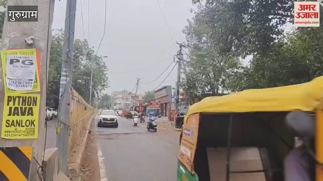 Rain brings pleasant weather in Gurugram