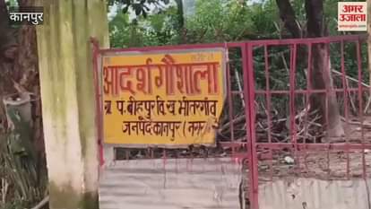 Bihupur cow shelter in Bhitargaon block has become a graveyard for cattle
