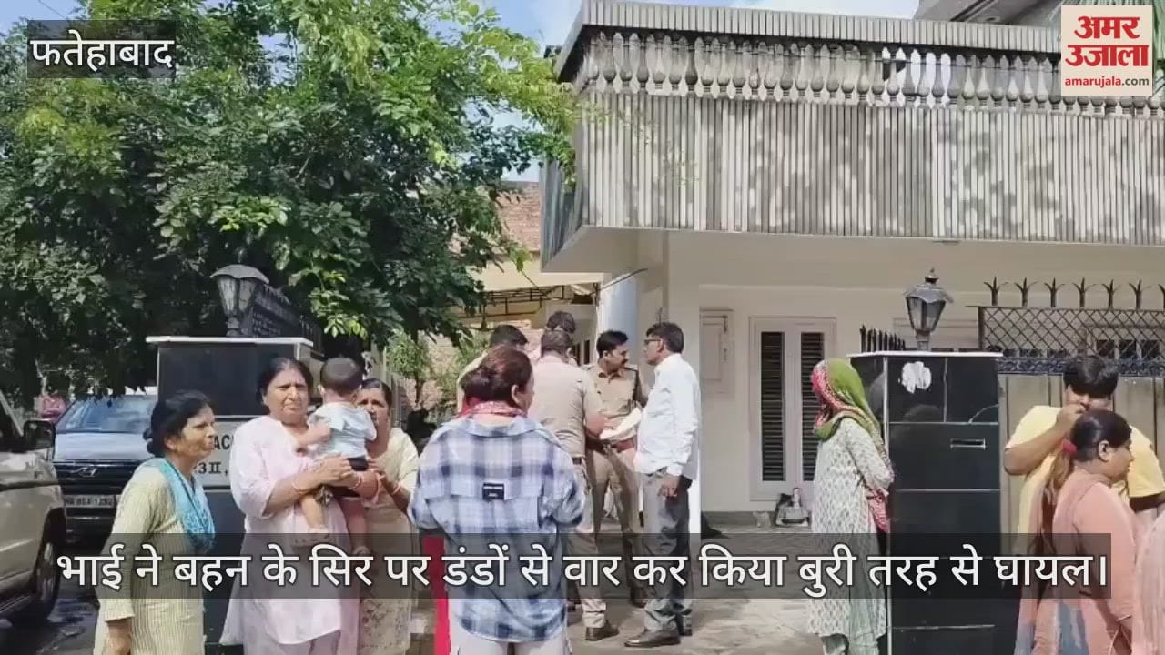 Brother injured his sister by hitting her on the head with a stick