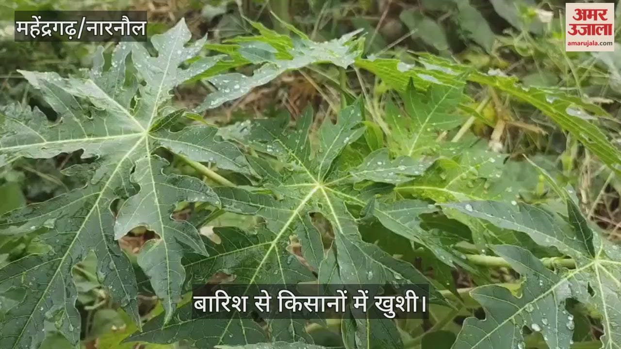 Rain in Mahendragarh
