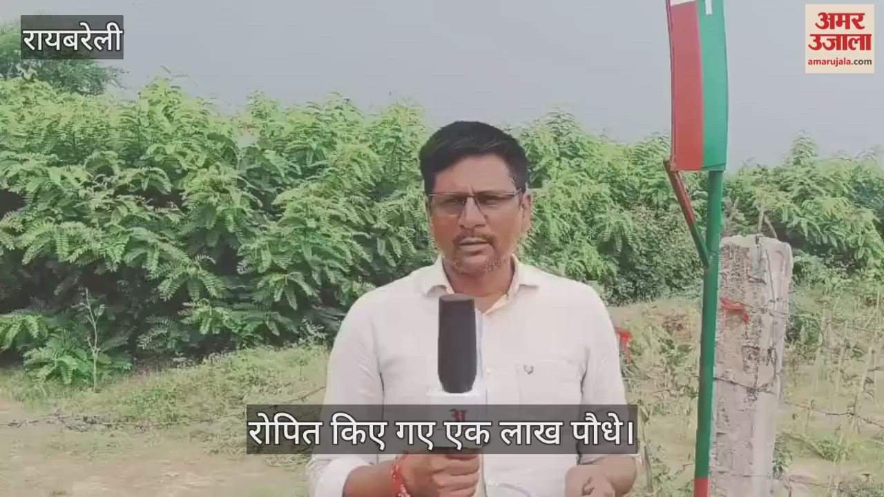 VIDEO: शहर की प्राणवायु को दूषित होने से बचाएगी हरियाली, मियावाकी पद्धति के तहत महानंदपुर में विकसित किया गया वन जंगल