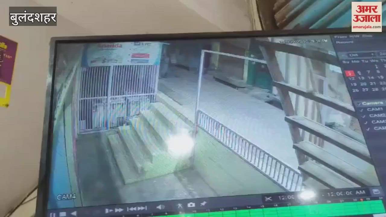 Strange case Neighbor was leaving rats in shop