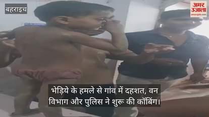 VIDEO: आंगन से मासूम को जबड़े में दबोच कर भागा भेड़िया, ग्रामीणों ने पीछा कर छुड़ाया