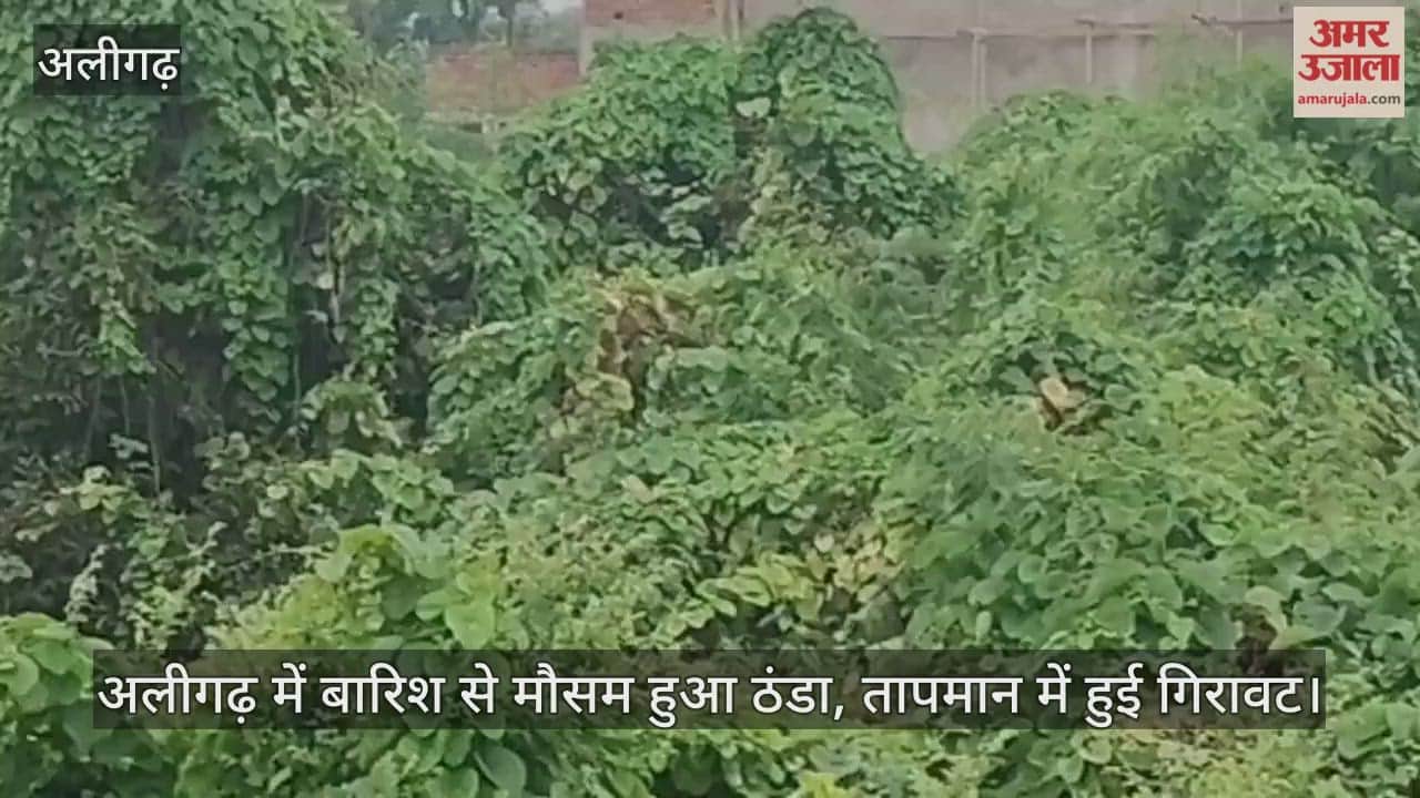 अलीगढ़ में बारिश से मौसम हुआ ठंडा, तापमान में हुई गिरावट
