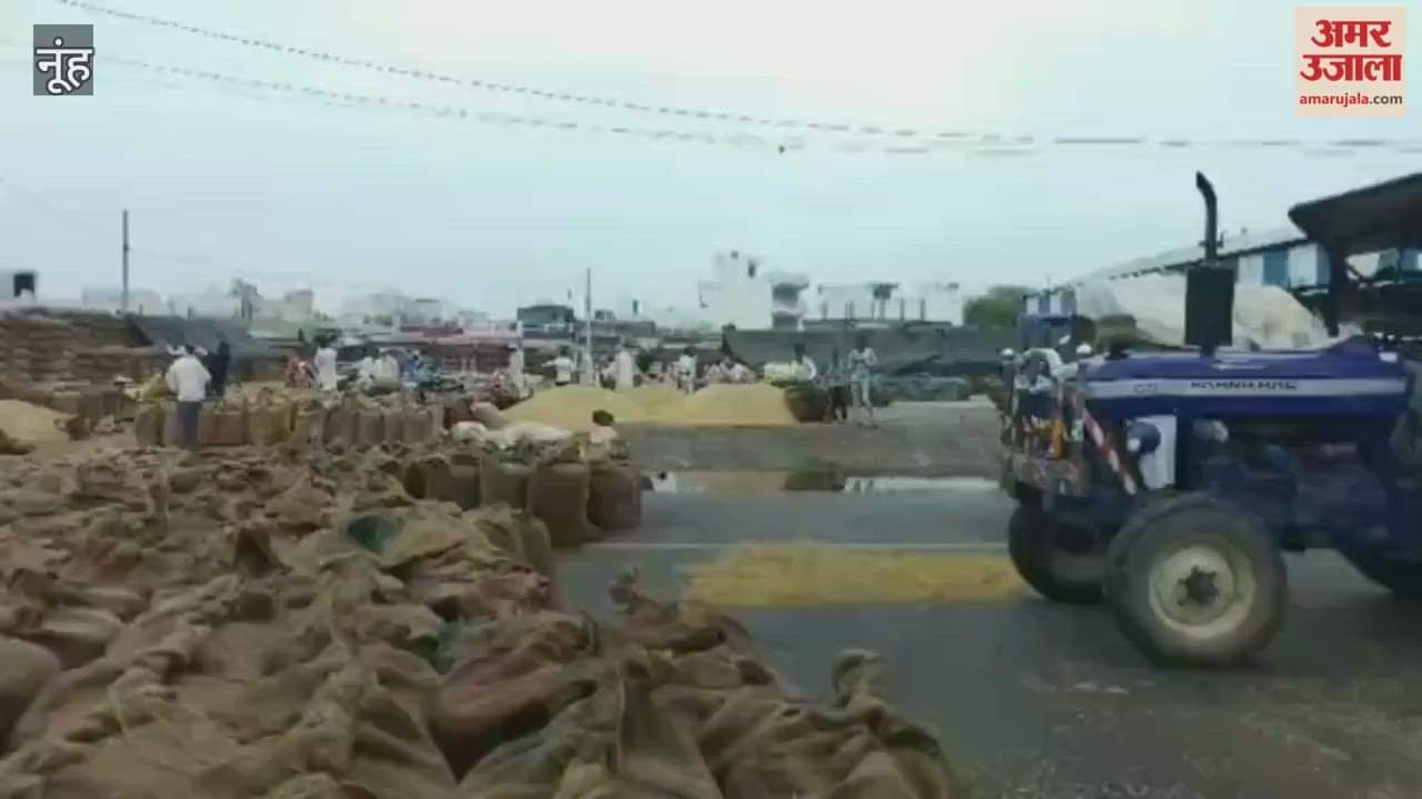 The grain market tin shed was occupied by commission agents leaving farmers gold soaking in the open