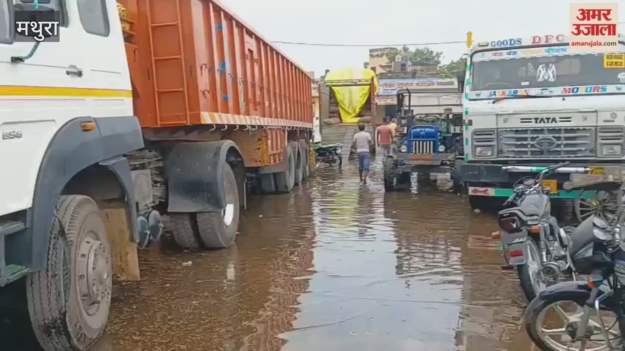 50 thousan quintals of paddy got wet due to rain