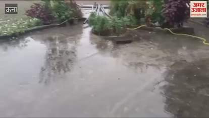 Una Drizzle brings smiles to farmers faces revitalizes potato crop