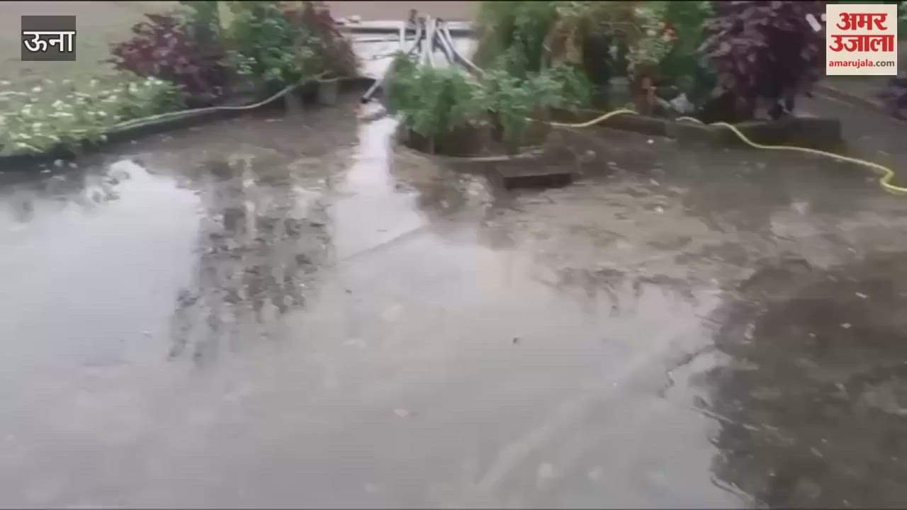 Una Drizzle brings smiles to farmers faces revitalizes potato crop