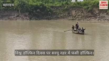 विश्व डॉल्फिन दिवस पर सरयू नहर में फंसी डॉल्फिन, वन विभाग और डब्लूडब्लूएफ की टीम रेस्क्यू में जुटी