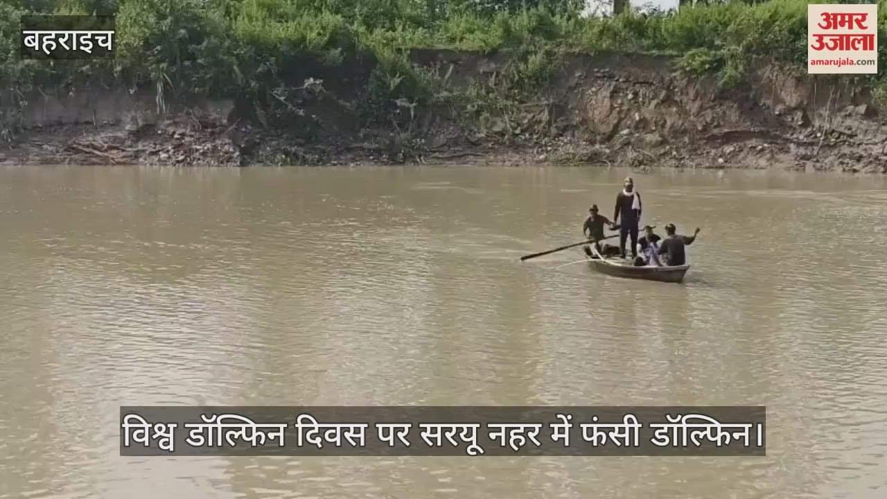 विश्व डॉल्फिन दिवस पर सरयू नहर में फंसी डॉल्फिन, वन विभाग और डब्लूडब्लूएफ की टीम रेस्क्यू में जुटी