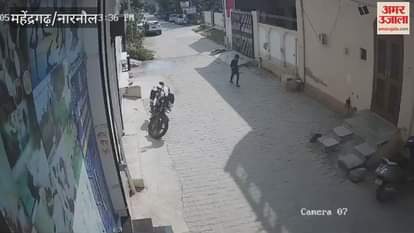 Monkeys attacked a child passing through a street in Narnaul, biting him on the legs and head.