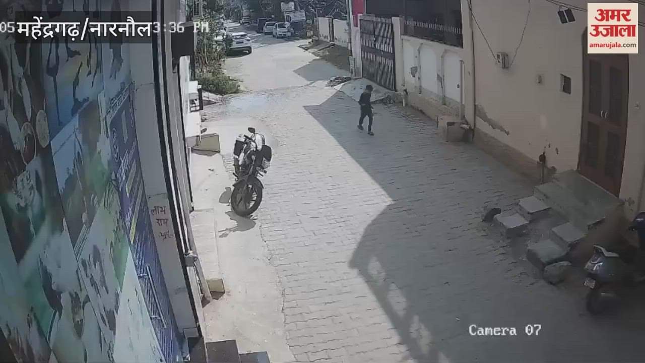 Monkeys attacked a child passing through a street in Narnaul, biting him on the legs and head.