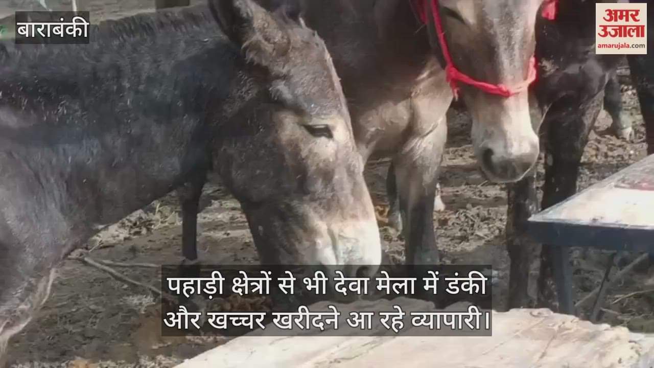 VIDEO: सबको आकर्षित कर रहा देवा मेला का डंकी और खच्चर बाजार, अच्छी नस्ल के घोड़े भी आ रहे