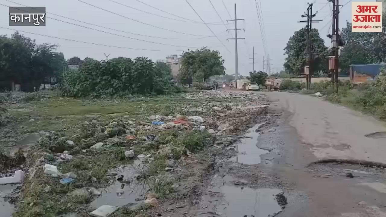 pile of garbage is found on the roadside in Ambedkarpuram