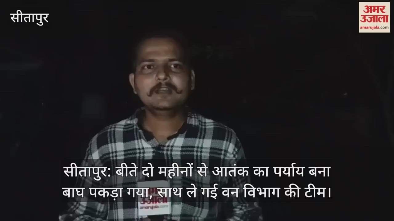सीतापुर: बीते दो महीनों से आतंक का पर्याय बना बाघ पकड़ा गया, साथ ले गई वन विभाग की टीम
