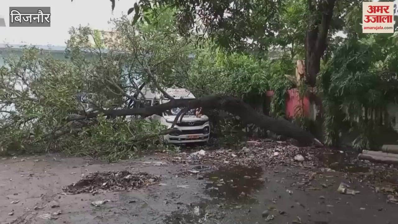Bijnor: Mango tree standing in Dhampur Shivaji Park fell on the car, car damaged