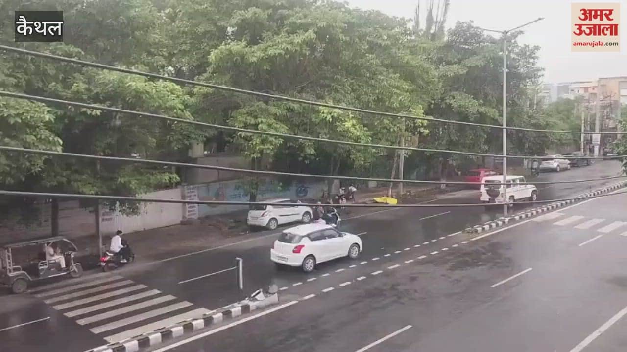 Heavy rains wreak havoc in Kaithal; paddy fields are soaked, leaving farmers worried.
