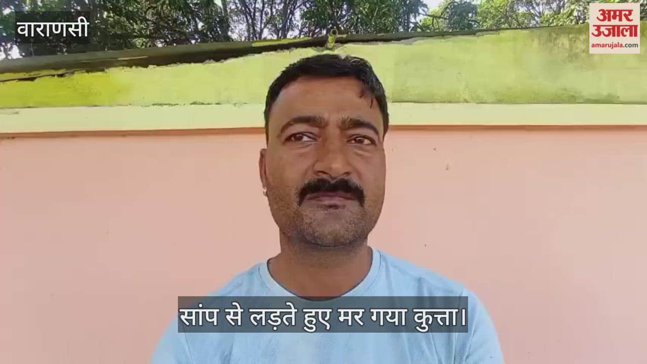 loyal dog died fighting cobra Snake in Mirzapur