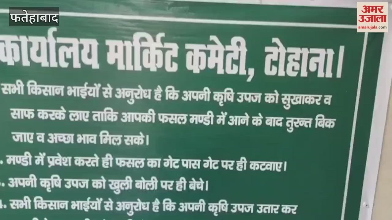 Rain soaks paddy in Tohana, Fatehabad; Secretary issues notice to agencies