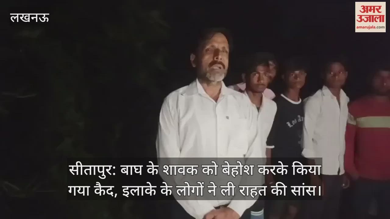 सीतापुर: बाघ के शावक को बेहोश करके किया गया कैद, इलाके के लोगों ने ली राहत की सांस