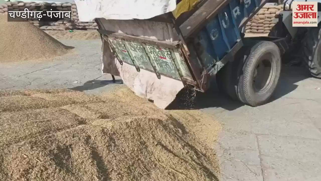 Paddy arrivals increase in Firozpur city market