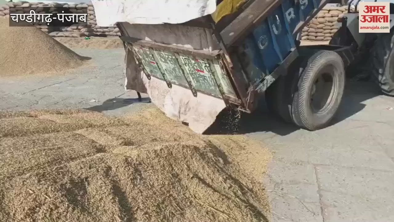 Paddy arrivals increase in Firozpur city market