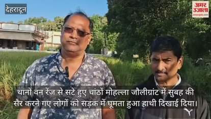 An elephant was seen roaming on the road in Jolly Grant, damaging paddy and sugarcane crops