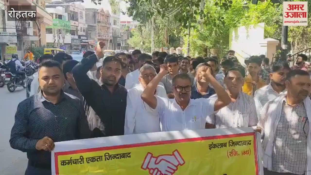Patwaris and Kanungos staged a protest in Rohtak to get their pending demands implemented.