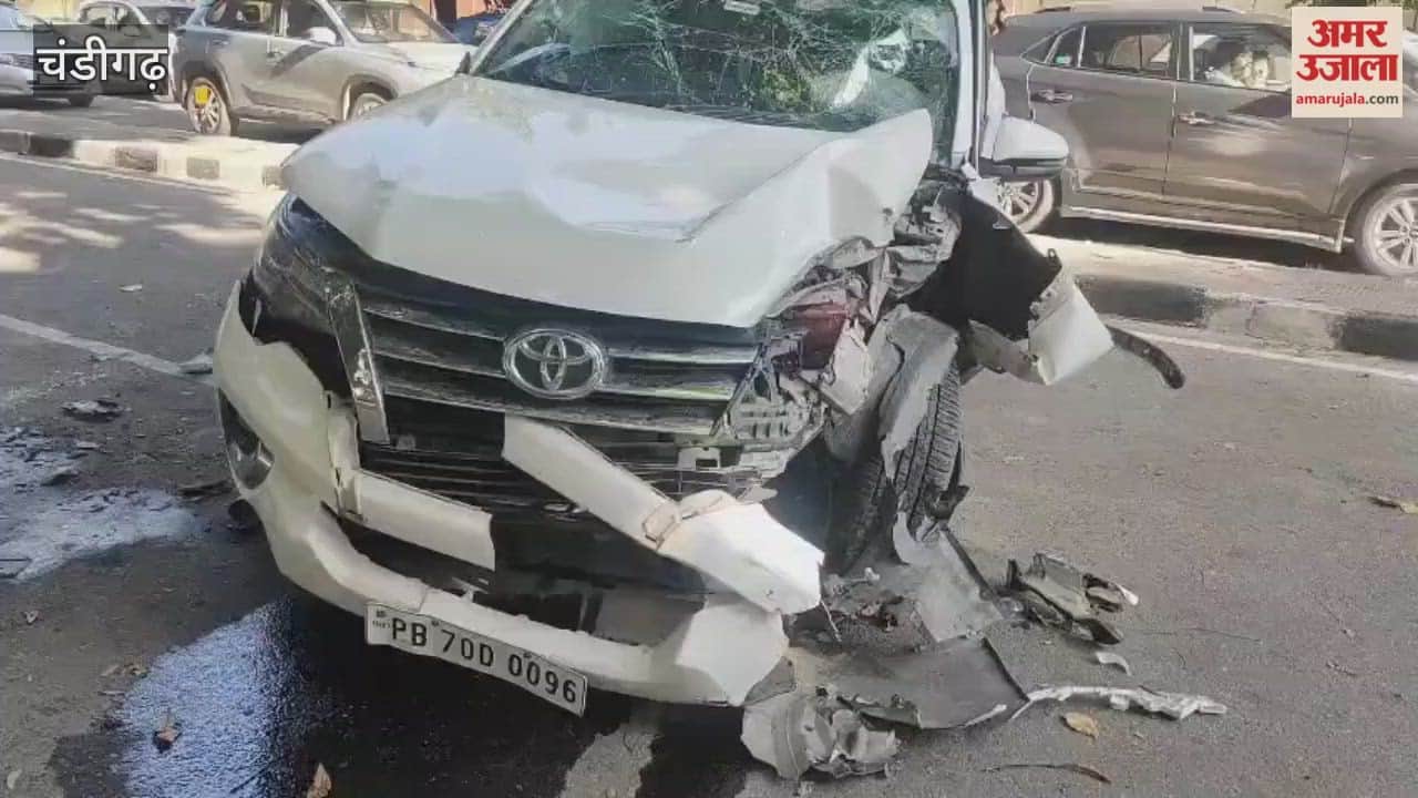 Chandigarh Accident Innova hits tree