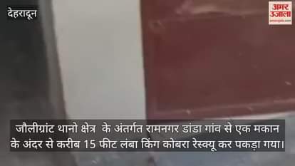 A 15-feet-long king cobra was rescued from a house in Jolly Grant Thane