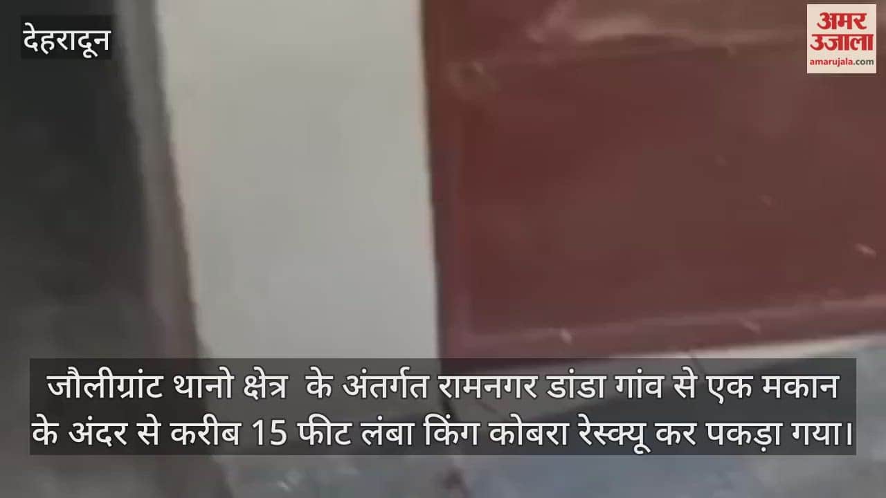 A 15-feet-long king cobra was rescued from a house in Jolly Grant Thane