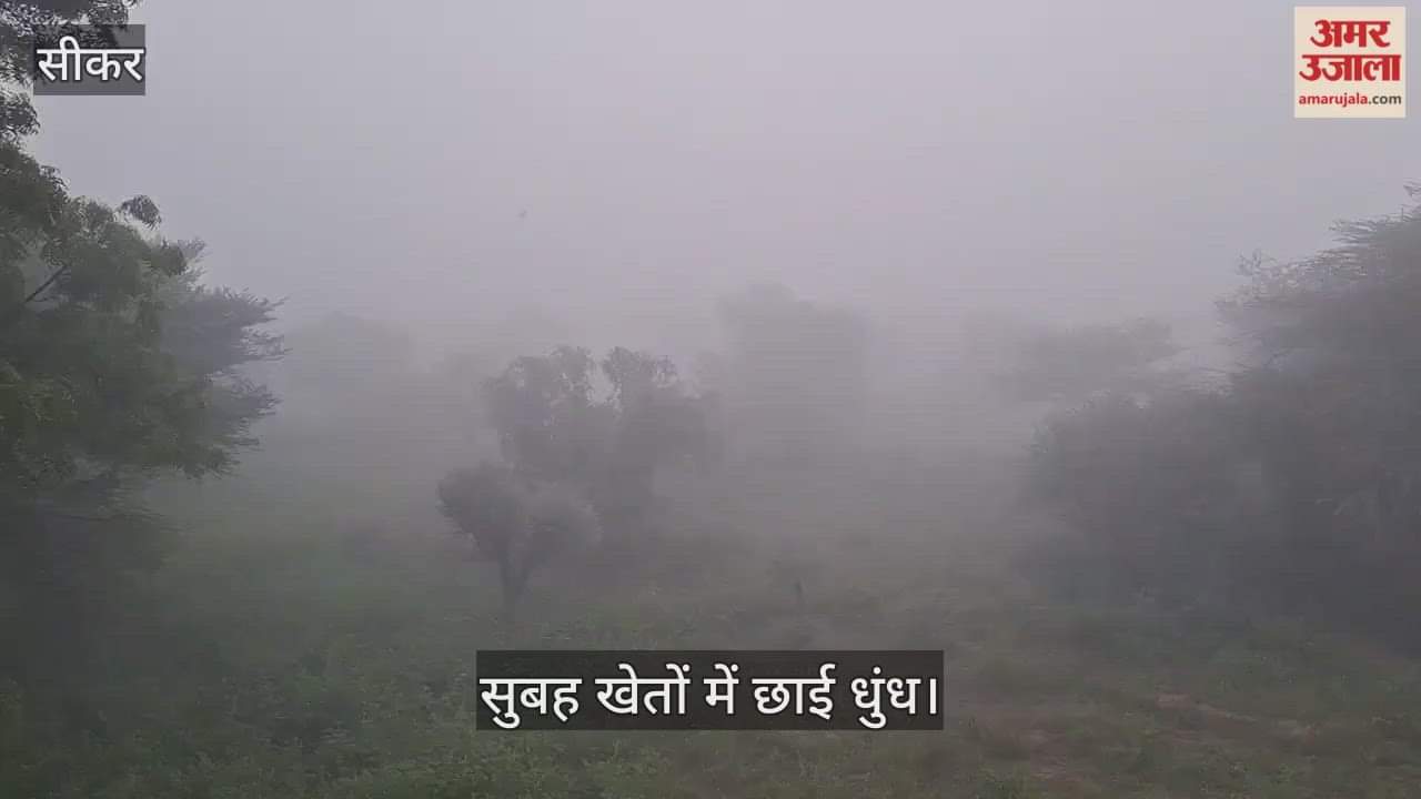 Rajasthan Weather Update: Rain Takes a Break, Pink Chill Sets In as Fog Covers Shekhawati- Know the Forecast