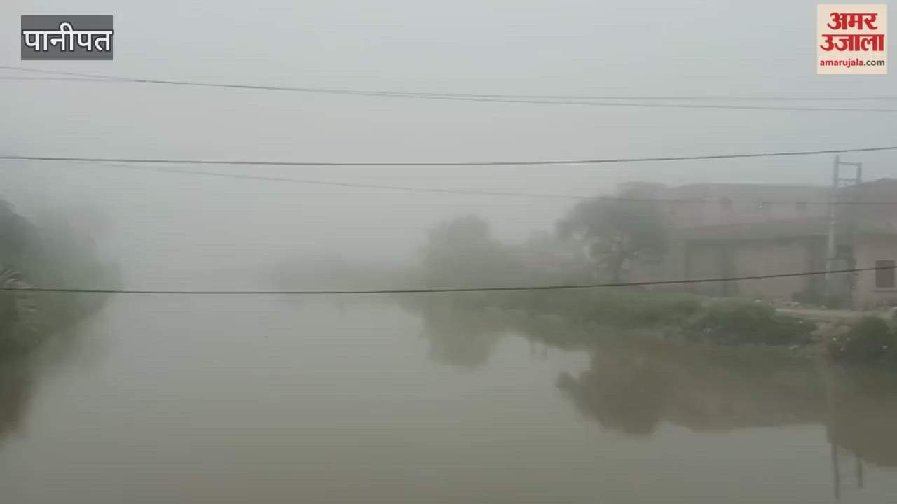 After the rain in Panipat, the weather changed, and a slight fog covered the area in the morning