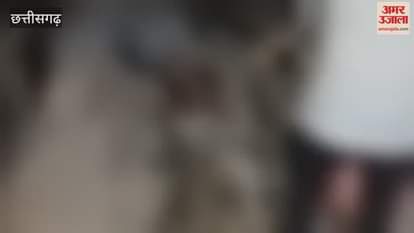 three worker died and seven injured in rkm power plant chhatishgarh