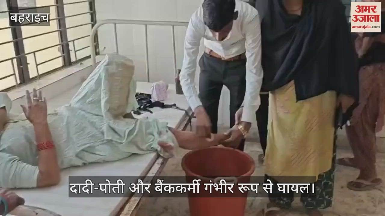 VIDEO: चलती बाइक पर बाघ का हमला, दादी-पोती और बैंककर्मी गंभीर रूप से घायल