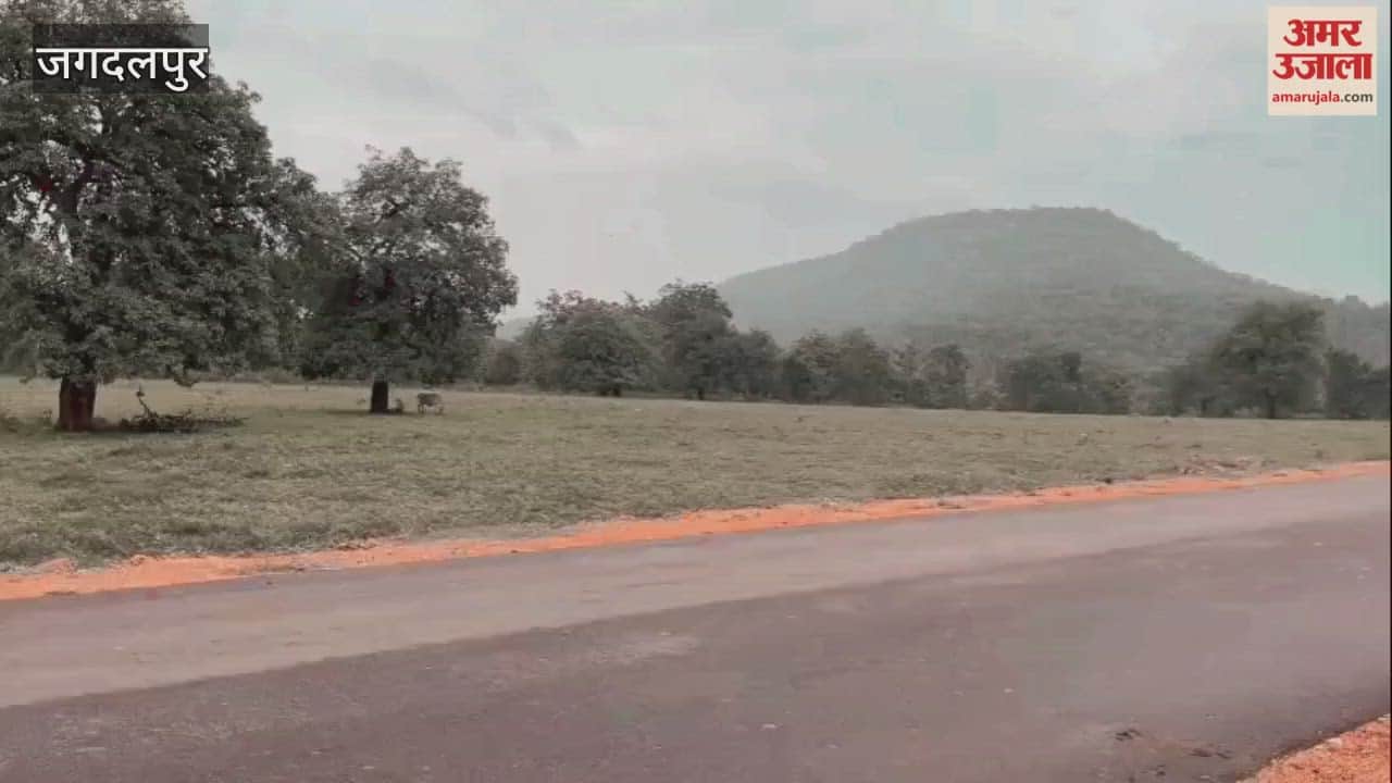 VIDEO: कार पर स्टंट करते वीडियो वायरल, पुलिस ने युवकों पर कसा शिकंजा