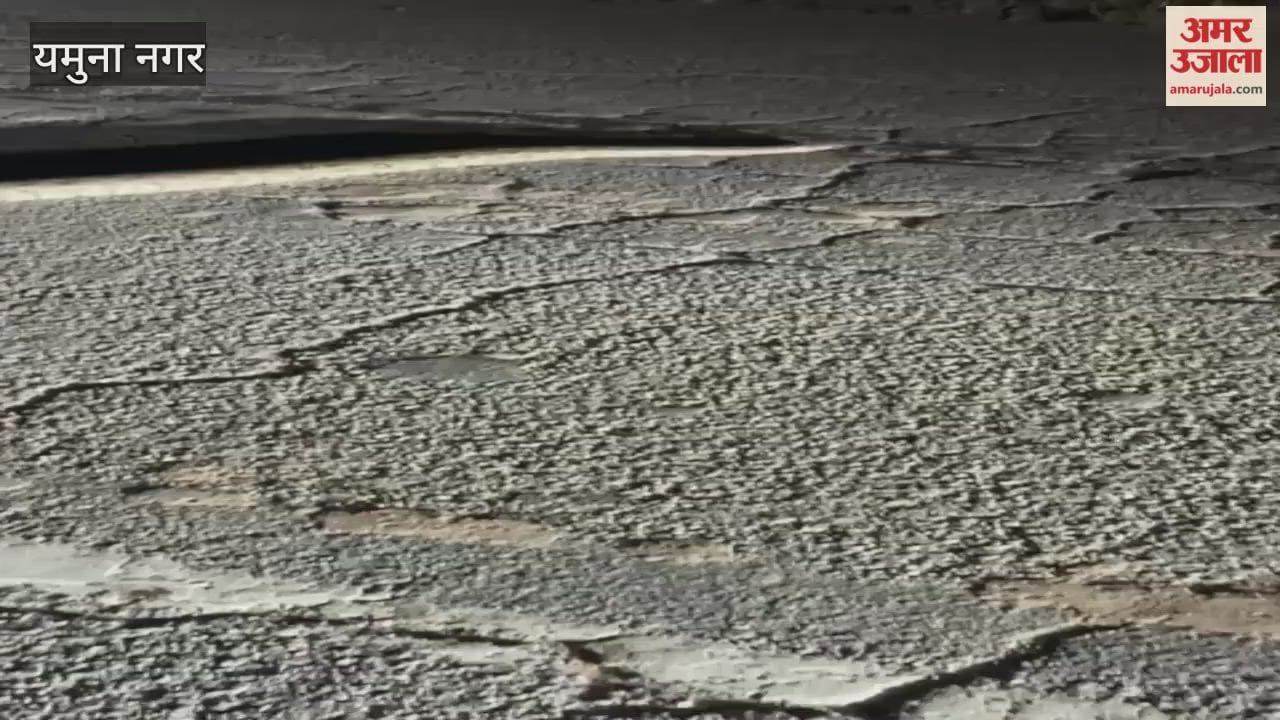 A 10-foot-long python appeared on the road in Yamunanagar at night.