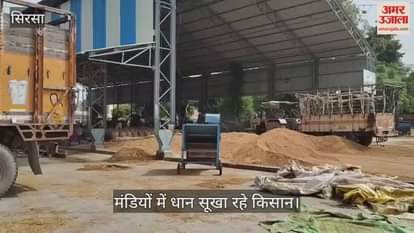 Farmers drying paddy in the markets