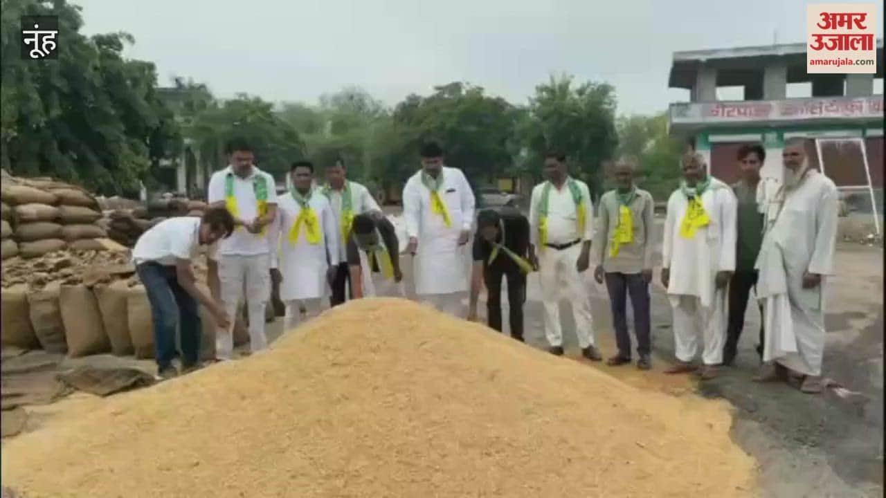 Citing government norms, crops are not being purchased in Nuh