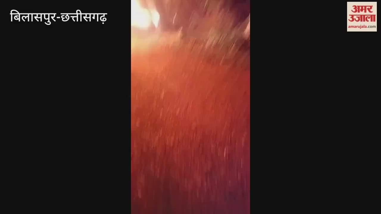 car collided with a tree in Bilaspur and burst into flames