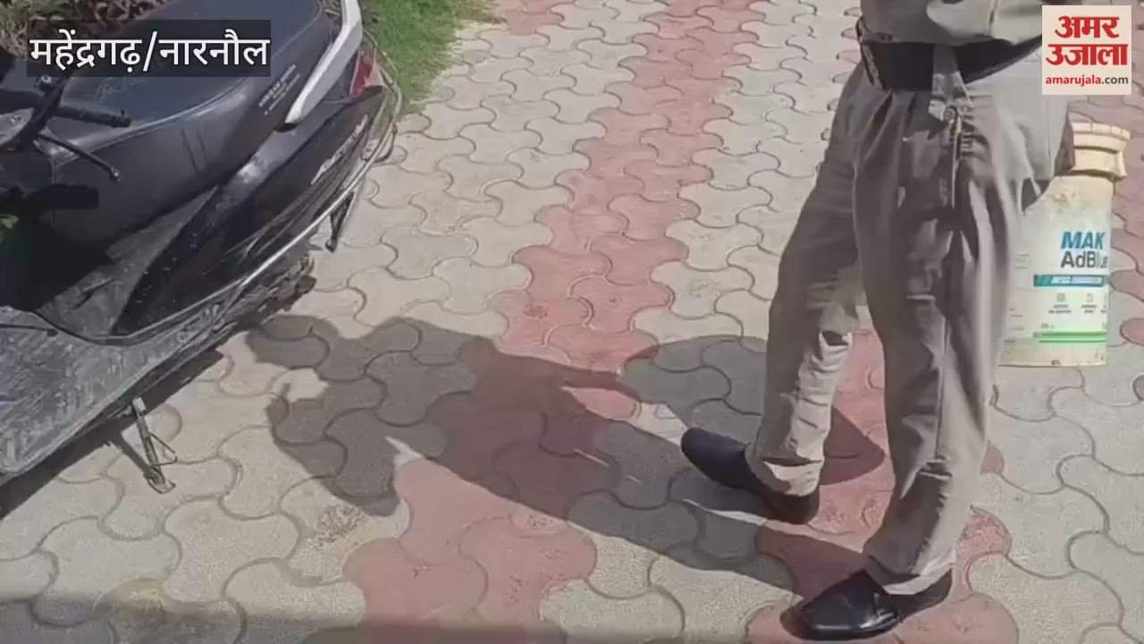 Four turtles found in a bucket on a scooter in Narnaul, police team took them into custody.