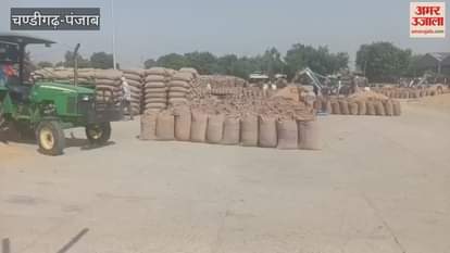 Paddy lifting is not taking place in Ferozepur grain markets