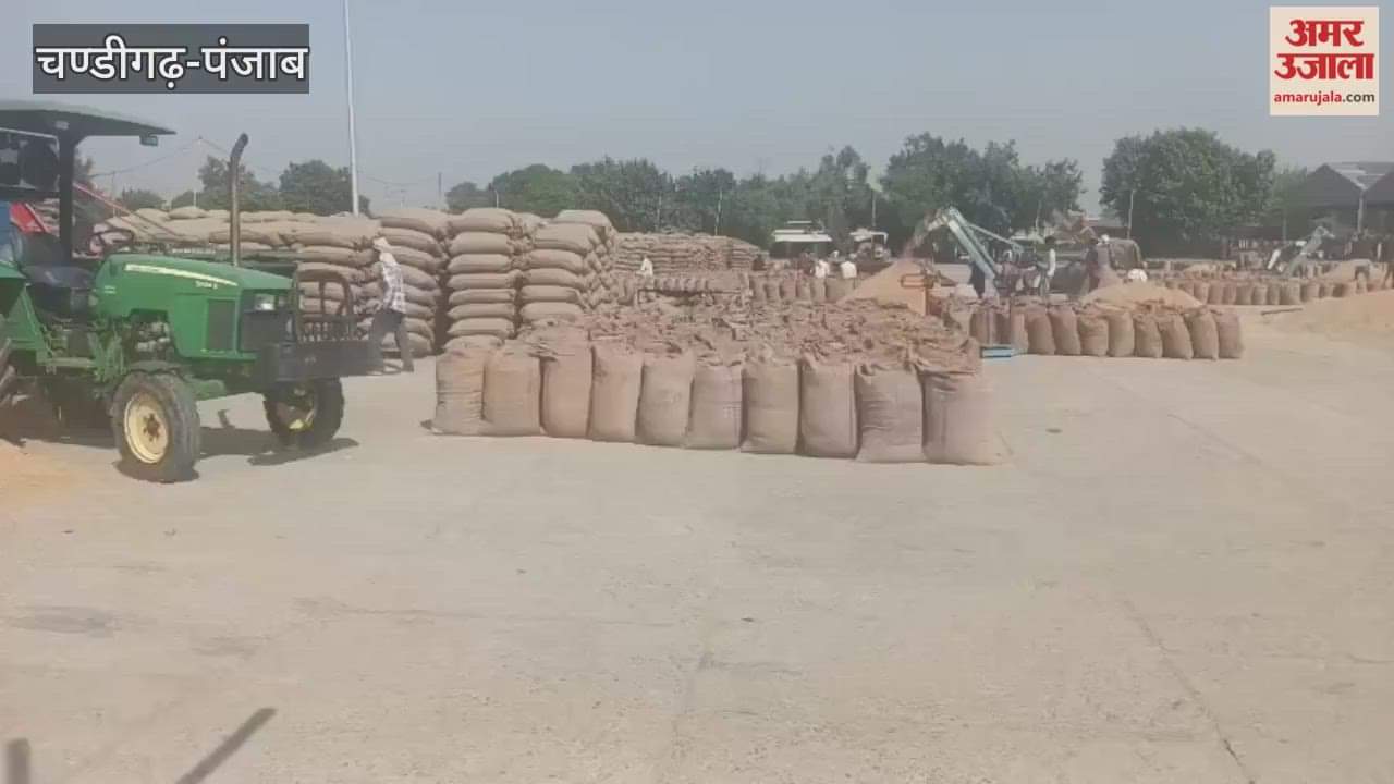 Paddy lifting is not taking place in Ferozepur grain markets
