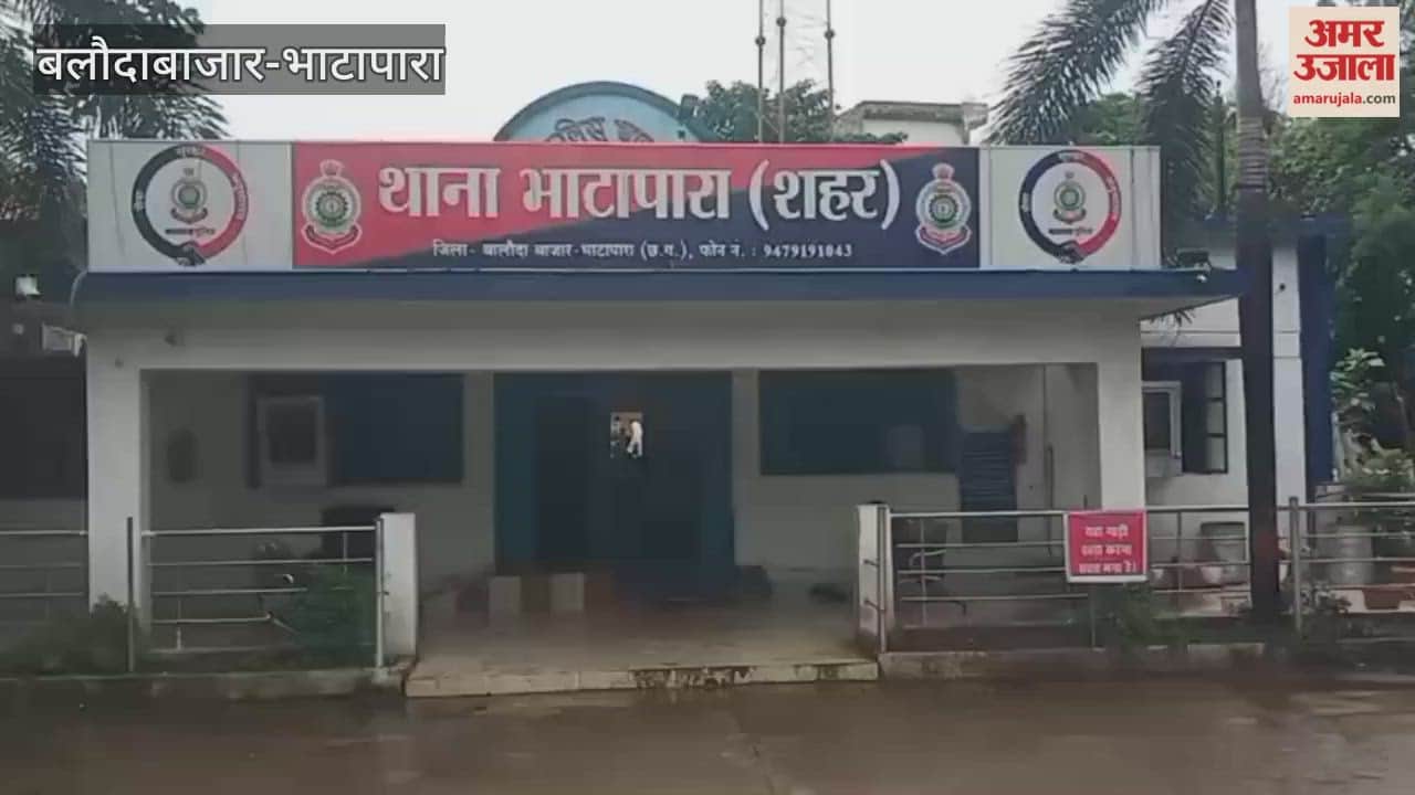 Three cows killed by a speeding car, which rammed into a house