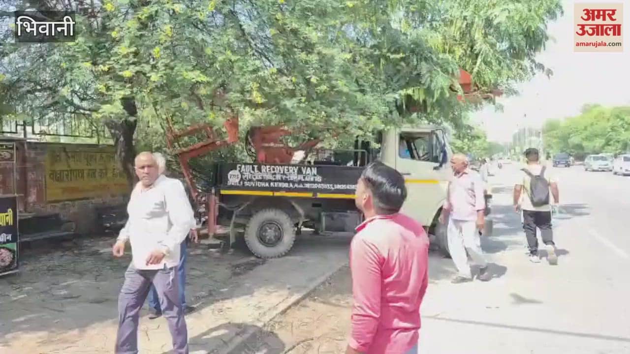 To prevent faults during Diwali in Bhiwani, the corporation started a tree cutting campaign.