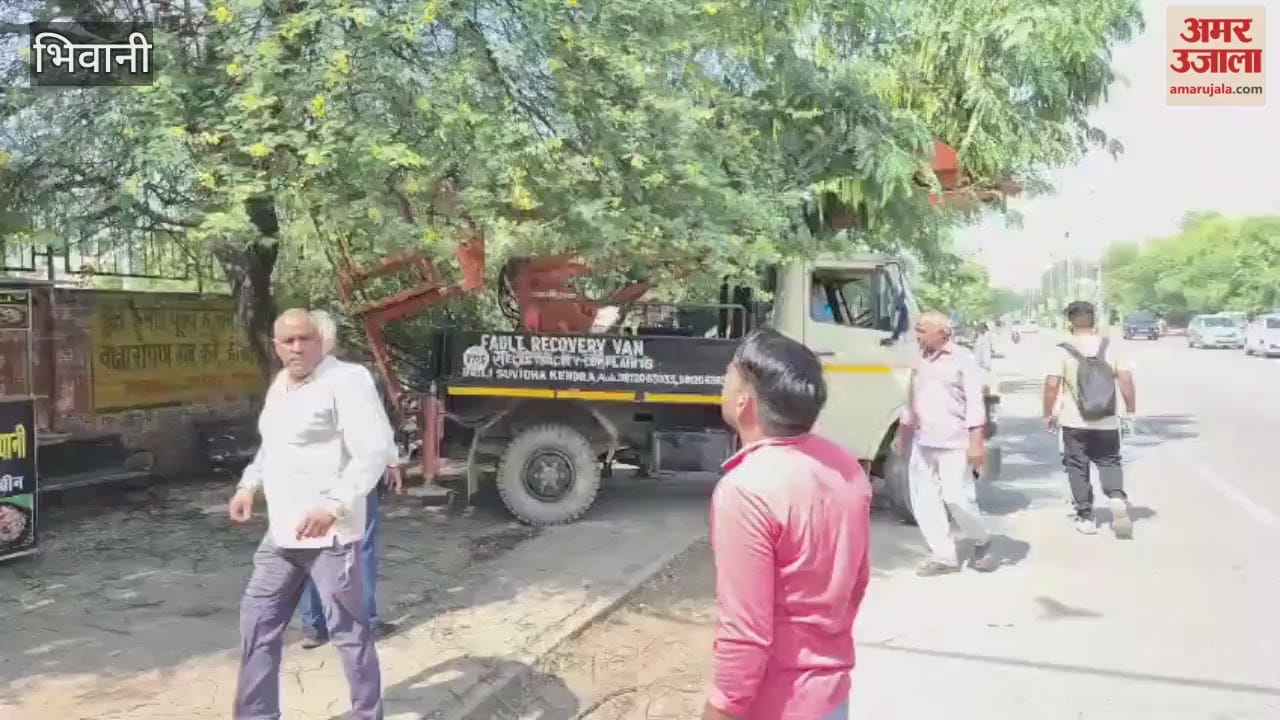 To prevent faults during Diwali in Bhiwani, the corporation started a tree cutting campaign.