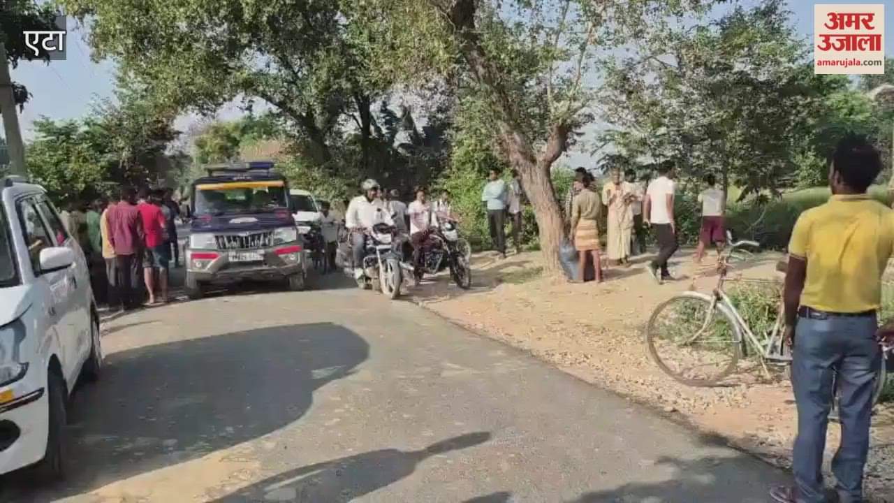 Daring Theft at Liquor Shop in Aliganj: Thieves Steal Bottles