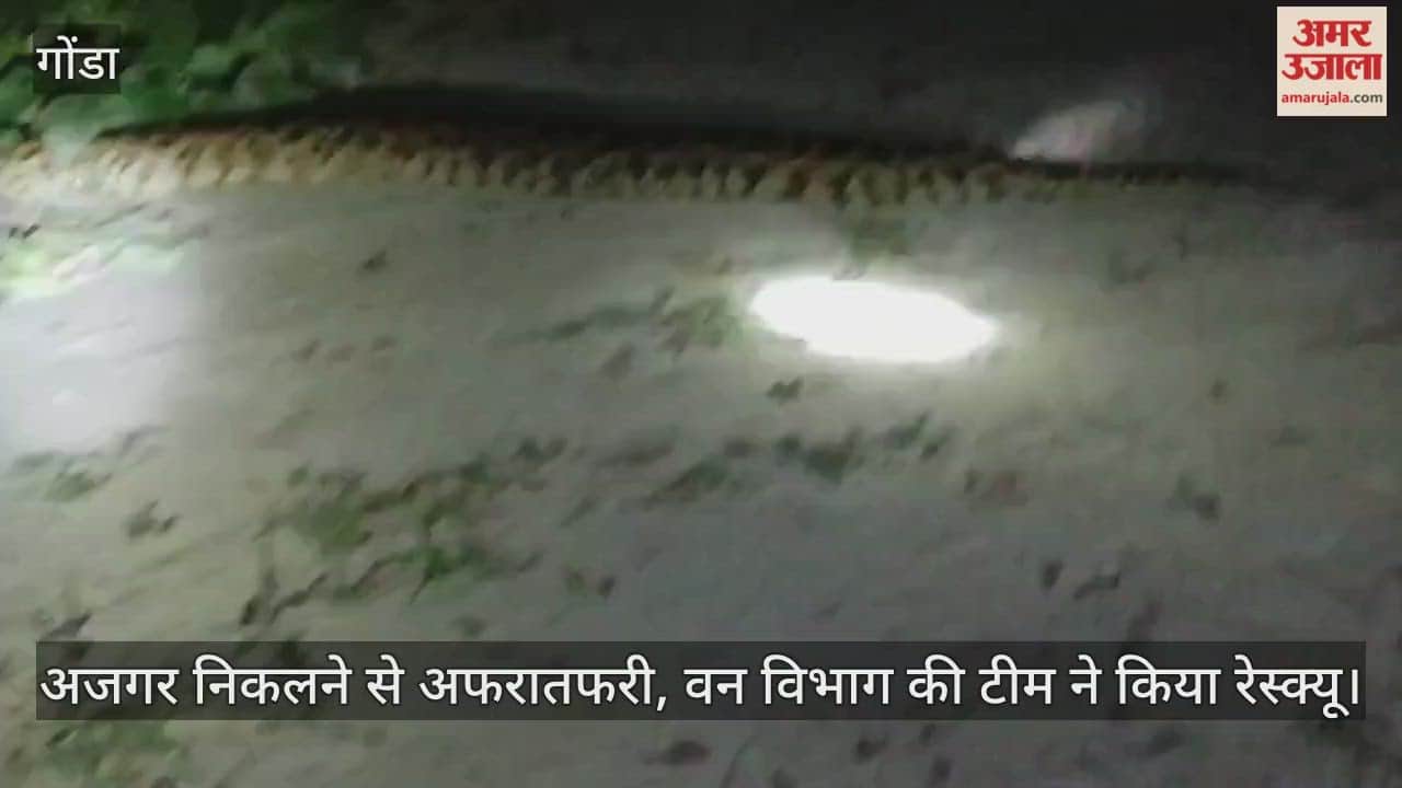 गोंडा में गांव में अजगर निकलने से अफरातफरी, वन विभाग की टीम ने किया रेस्क्यू