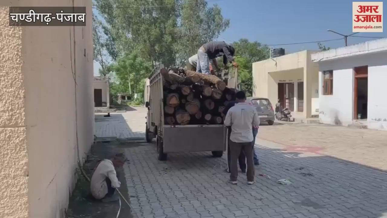 Khair mafia cuts trees in Pathankot wildlife sanctuary