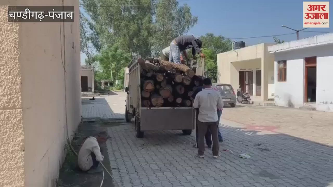 Khair mafia cuts trees in Pathankot wildlife sanctuary